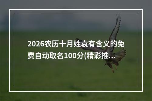 2026农历十月姓袁有含义的免费自动取名100分(精彩推荐)