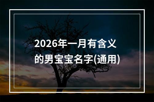 2026年一月有含义的男宝宝名字(通用)