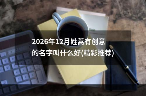 2026年12月姓蒿有创意的名字叫什么好(精彩推荐)