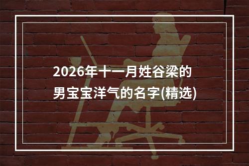 2026年十一月姓谷梁的男宝宝洋气的名字(精选)