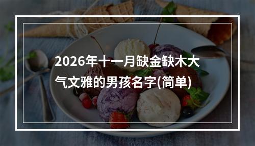 2026年十一月缺金缺木大气文雅的男孩名字(简单)