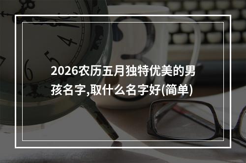 2026农历五月独特优美的男孩名字,取什么名字好(简单)