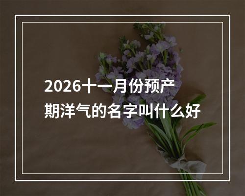 2026十一月份预产期洋气的名字叫什么好