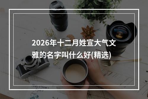 2026年十二月姓宣大气文雅的名字叫什么好(精选)
