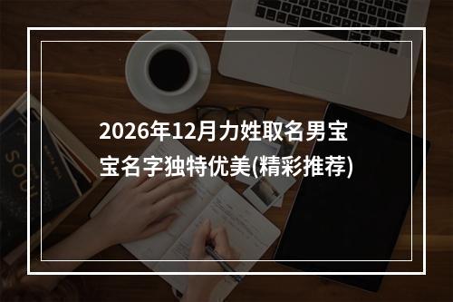 2026年12月力姓取名男宝宝名字独特优美(精彩推荐)