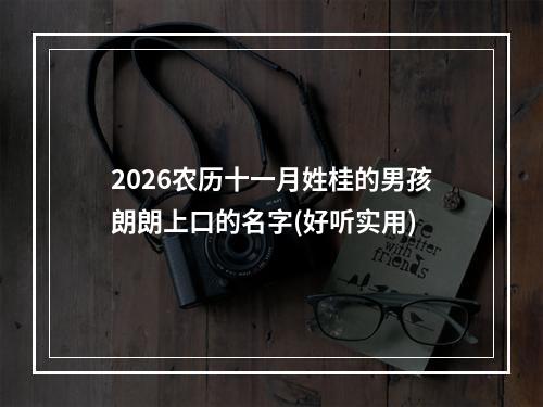 2026农历十一月姓桂的男孩朗朗上口的名字(好听实用)