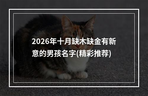 2026年十月缺木缺金有新意的男孩名字(精彩推荐)