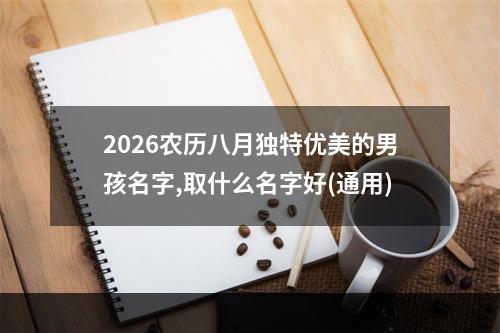 2026农历八月独特优美的男孩名字,取什么名字好(通用)