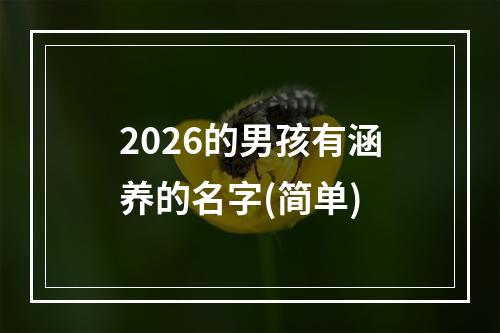 2026的男孩有涵养的名字(简单)