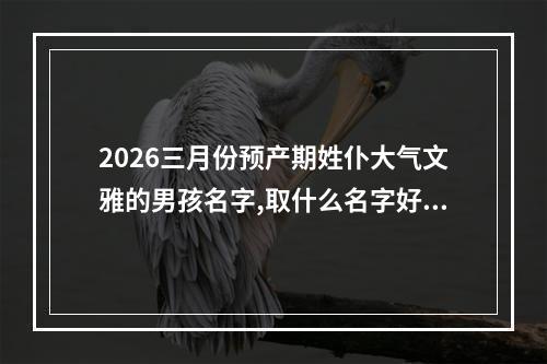 2026三月份预产期姓仆大气文雅的男孩名字,取什么名字好(精选)