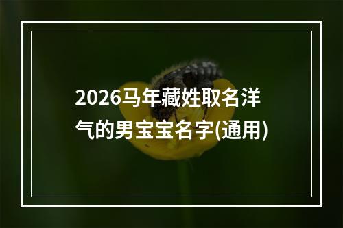 2026马年藏姓取名洋气的男宝宝名字(通用)