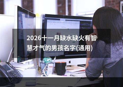 2026十一月缺水缺火有智慧才气的男孩名字(通用)