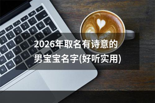 2026年取名有诗意的男宝宝名字(好听实用)