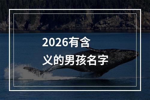 2026有含义的男孩名字