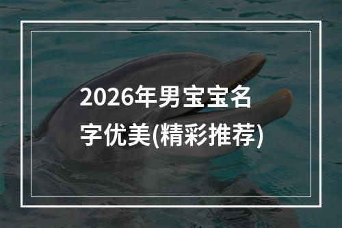 2026年男宝宝名字优美(精彩推荐)