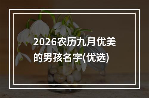 2026农历九月优美的男孩名字(优选)