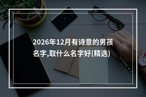 2026年12月有诗意的男孩名字,取什么名字好(精选)