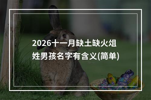 2026十一月缺土缺火俎姓男孩名字有含义(简单)