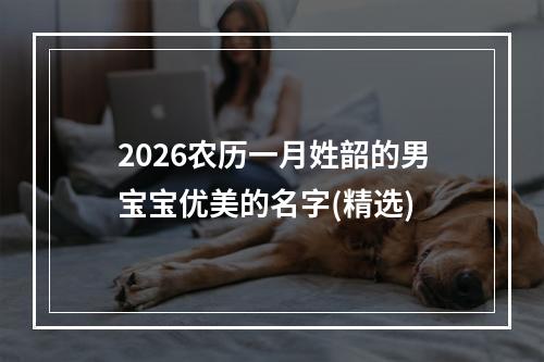 2026农历一月姓韶的男宝宝优美的名字(精选)