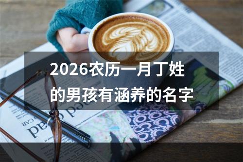 2026农历一月丁姓的男孩有涵养的名字