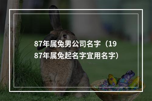 87年属兔男公司名字（1987年属兔起名字宜用名字）
