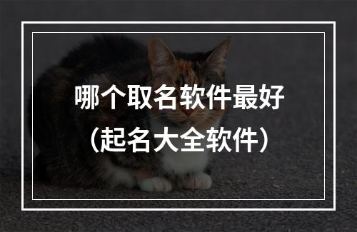 哪个取名软件最好（起名大全软件）