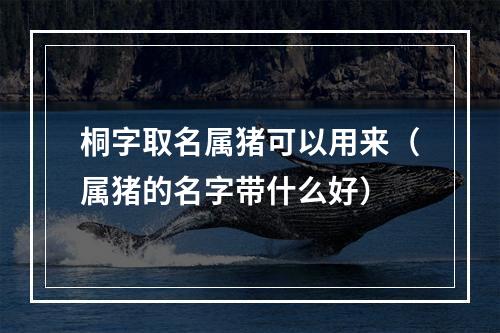 桐字取名属猪可以用来（属猪的名字带什么好）