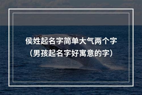 侯姓起名字简单大气两个字（男孩起名字好寓意的字）