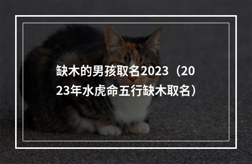 缺木的男孩取名2023（2023年水虎命五行缺木取名）