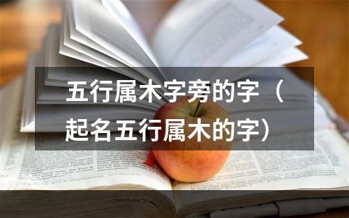 五行属木字旁的字（起名五行属木的字）