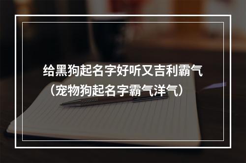 给黑狗起名字好听又吉利霸气（宠物狗起名字霸气洋气）