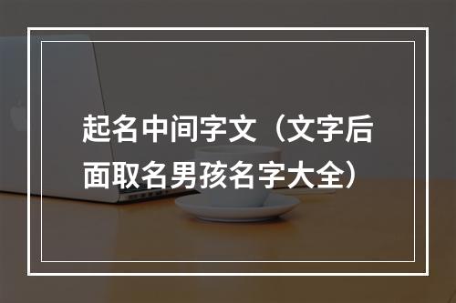起名中间字文（文字后面取名男孩名字大全）
