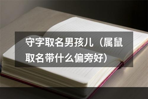 守字取名男孩儿（属鼠取名带什么偏旁好）