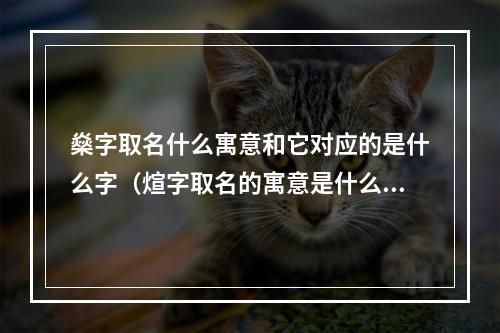 燊字取名什么寓意和它对应的是什么字（煊字取名的寓意是什么）