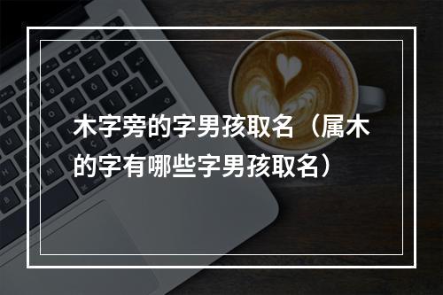 木字旁的字男孩取名（属木的字有哪些字男孩取名）