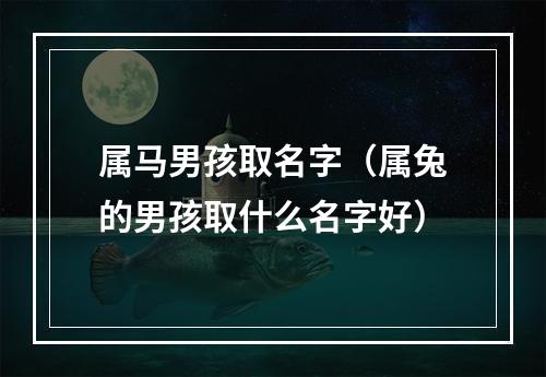属马男孩取名字（属兔的男孩取什么名字好）