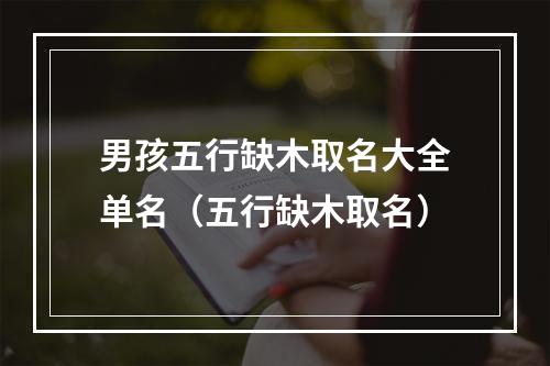 男孩五行缺木取名大全单名（五行缺木取名）