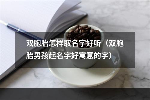 双胞胎怎样取名字好听（双胞胎男孩起名字好寓意的字）