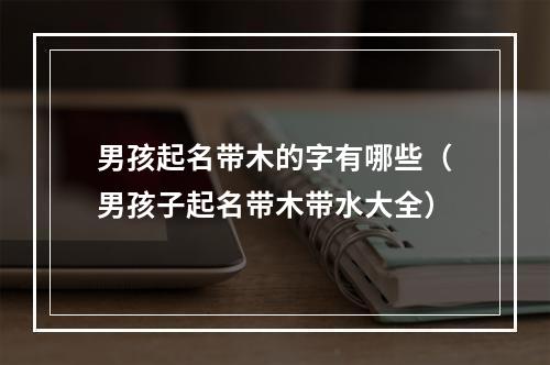 男孩起名带木的字有哪些（男孩子起名带木带水大全）