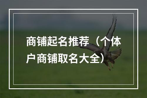 商铺起名推荐（个体户商铺取名大全）