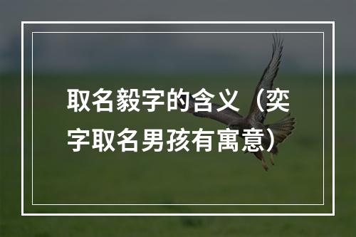 取名毅字的含义（奕字取名男孩有寓意）