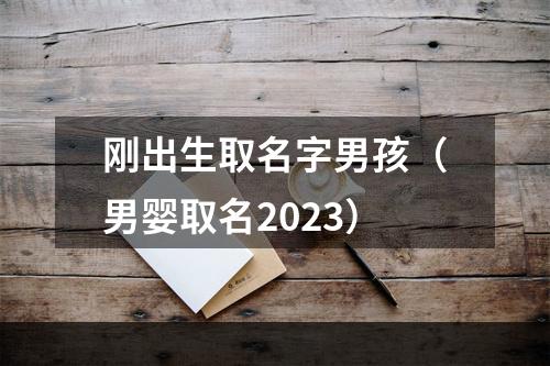刚出生取名字男孩（男婴取名2023）