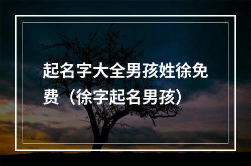 起名字大全男孩姓徐免费（徐字起名男孩）