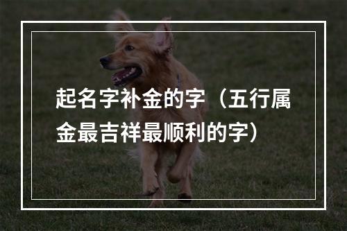 起名字补金的字（五行属金最吉祥最顺利的字）