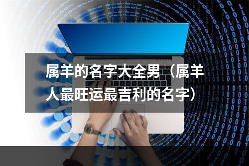 属羊的名字大全男（属羊人最旺运最吉利的名字）