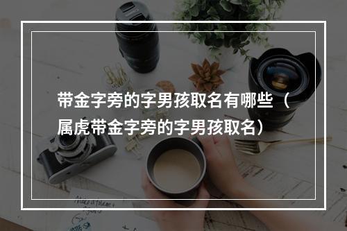 带金字旁的字男孩取名有哪些（属虎带金字旁的字男孩取名）