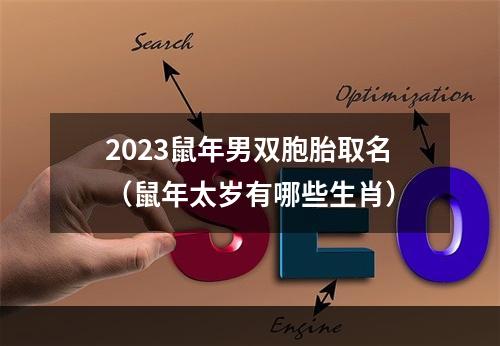 2023鼠年男双胞胎取名（鼠年太岁有哪些生肖）