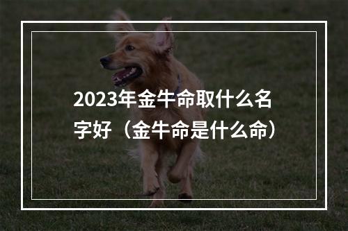 2023年金牛命取什么名字好（金牛命是什么命）
