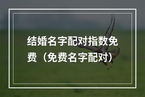 结婚名字配对指数免费（免费名字配对）