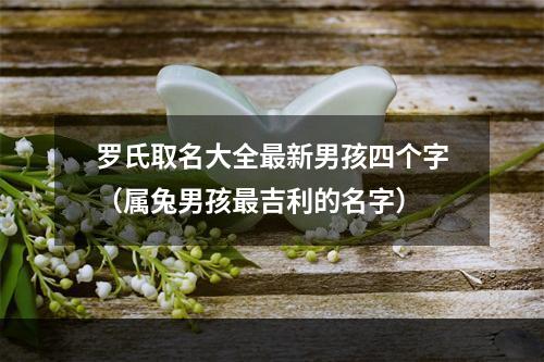 罗氏取名大全最新男孩四个字（属兔男孩最吉利的名字）